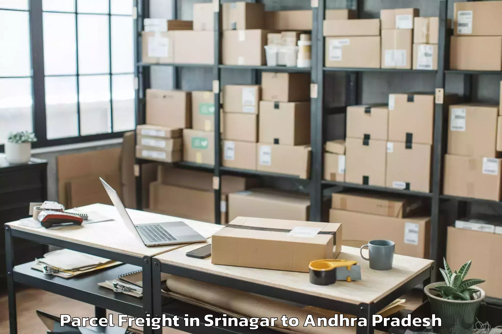 Book Srinagar to Vijayawada Parcel Freight Online